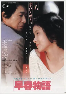 女仆电影海报